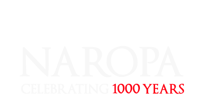 Logo Tripver for Naropa Logo Tripver for Naropa