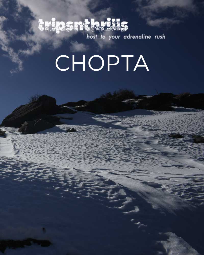 card-chopta-tntartboard-1-20