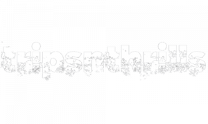 new-logo-tripsnnthrills