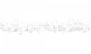 new-logo-tripsnnthrills new-logo-tripsnnthrills