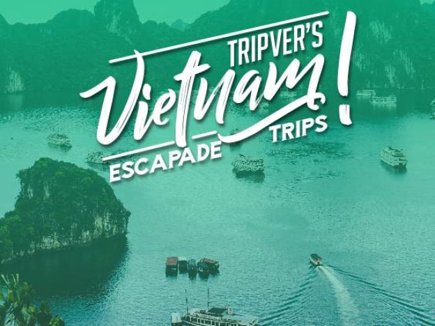 Ms. Darshini's trip to Vietnam