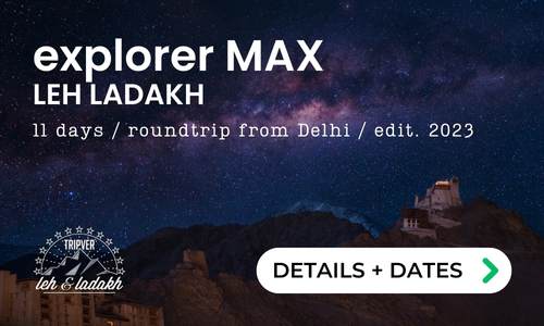 explorer-max