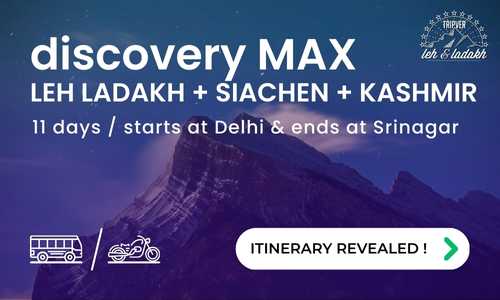 discovery-max-