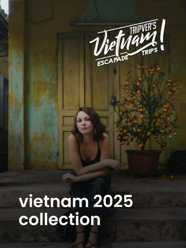 Vietnam Explorer 9N10D