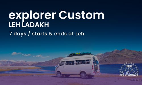 Leh LHM31 (Advance Only)