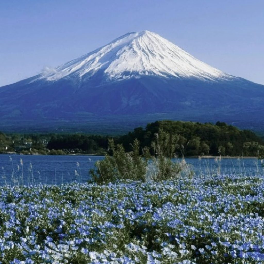 Mt. Fuji & Hakone Escape